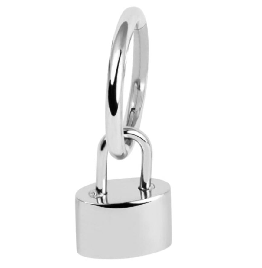 Titanium Hinged Segment Ring with Titanium Padlock Charm