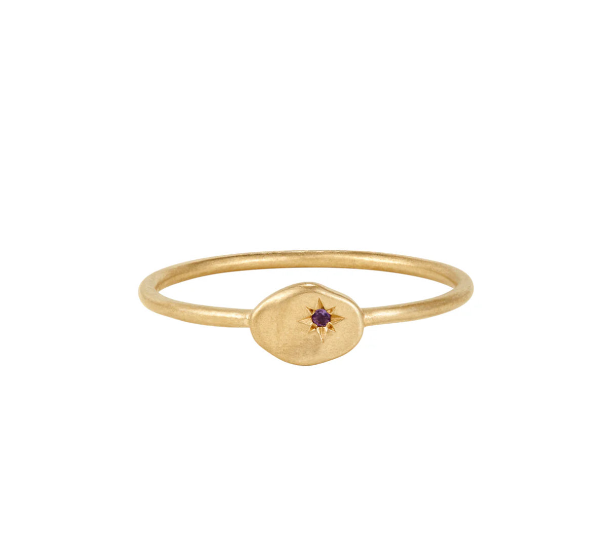 Rion x Buddha Jewellery North Star Facing Gold Ring Amethyst