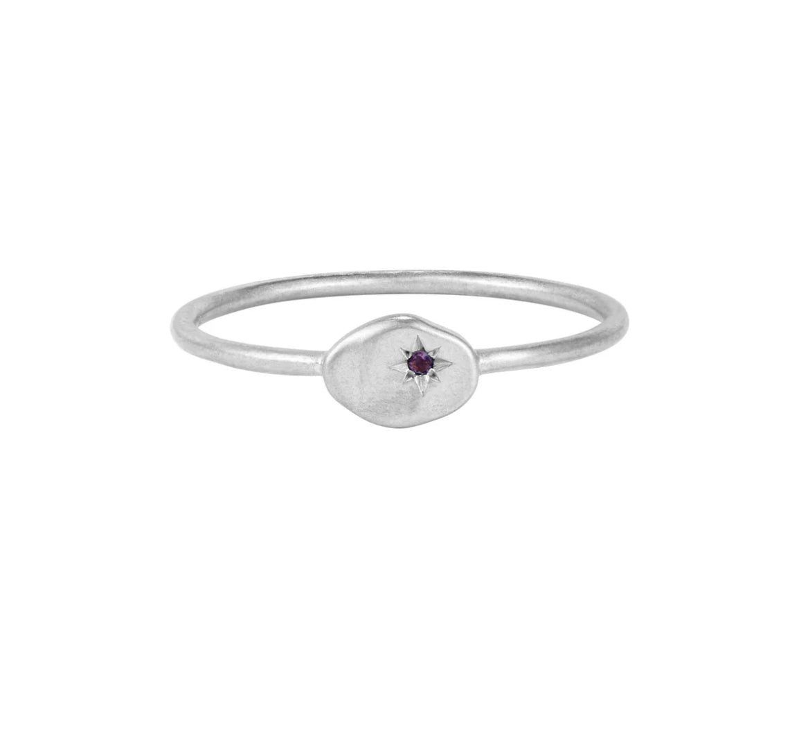 Rion x Buddha Jewellery North Star Facing Gold Ring Amethyst