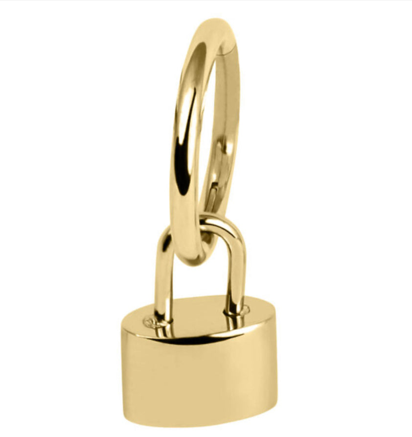 Titanium Hinged Segment Ring with Titanium Padlock Charm