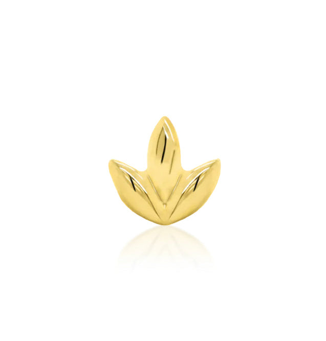 Junipurr Jewellery Dr Bloom 14kt Gold Threadless End | Helix Lobe Conch