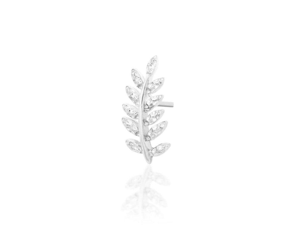 Junipurr Willow Flat Helix Conch Threadless End in 14K white gold – minimalist elongated form, angled view