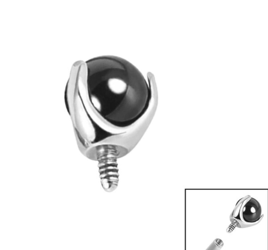 Titanium Claw Set Black Agate Ball