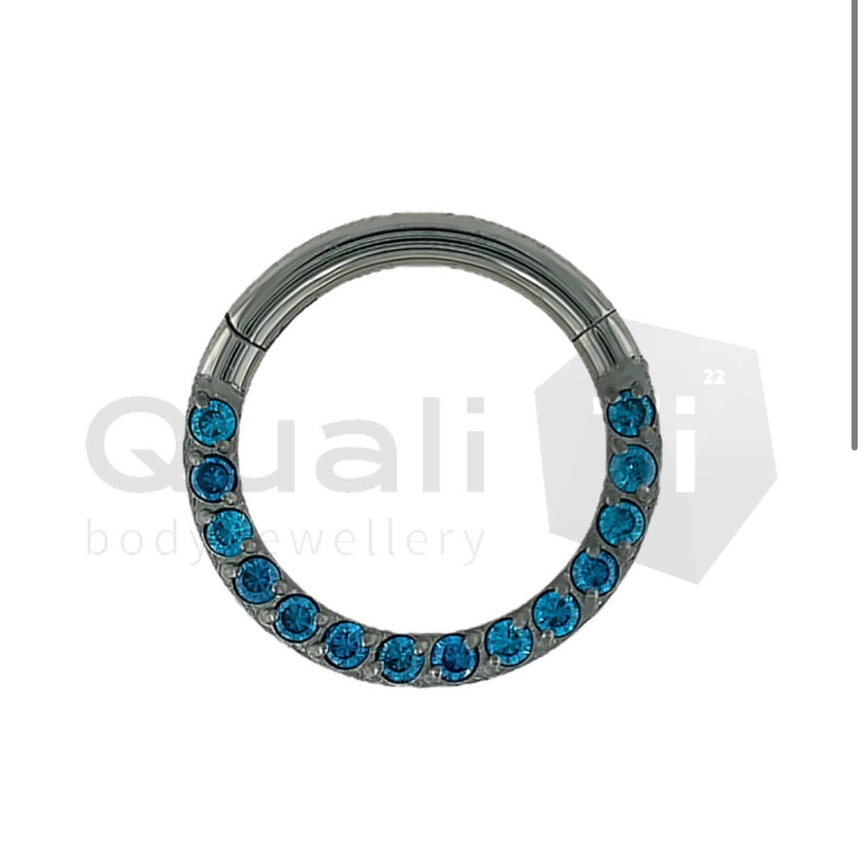 The 'Azora' Hinged Titanium Ring