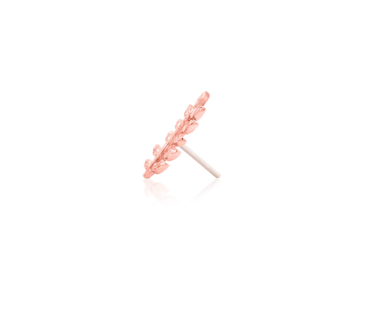 Junipurr – Willow Flat Helix Conch Threadless End | 14K Gold
