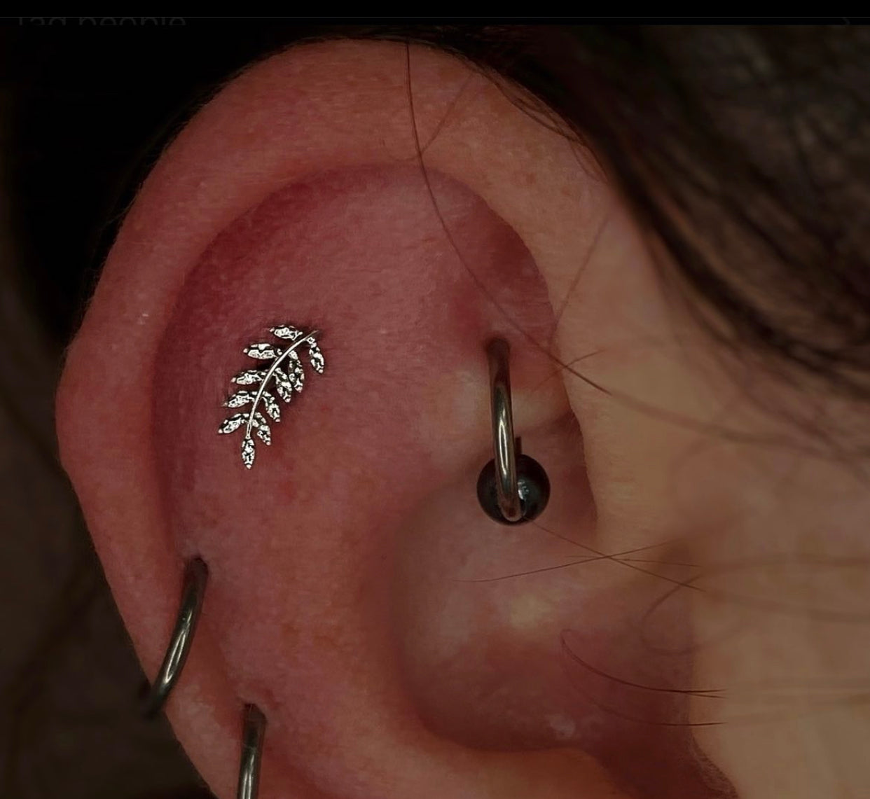 Junipurr – Willow Flat Helix Conch Threadless End | 14K Gold
