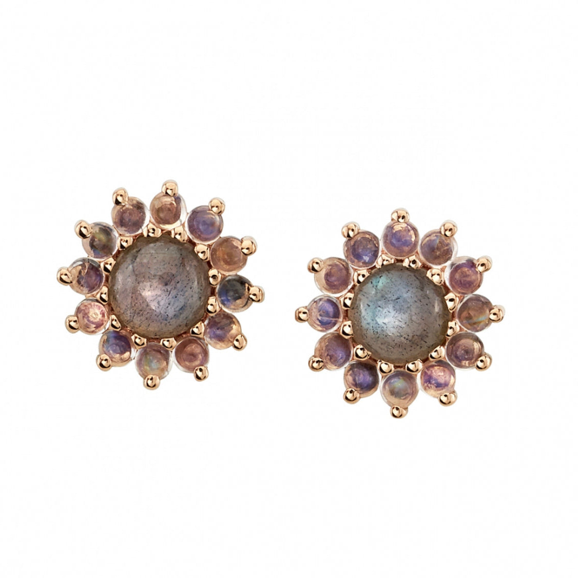BVLA Rose Cluster