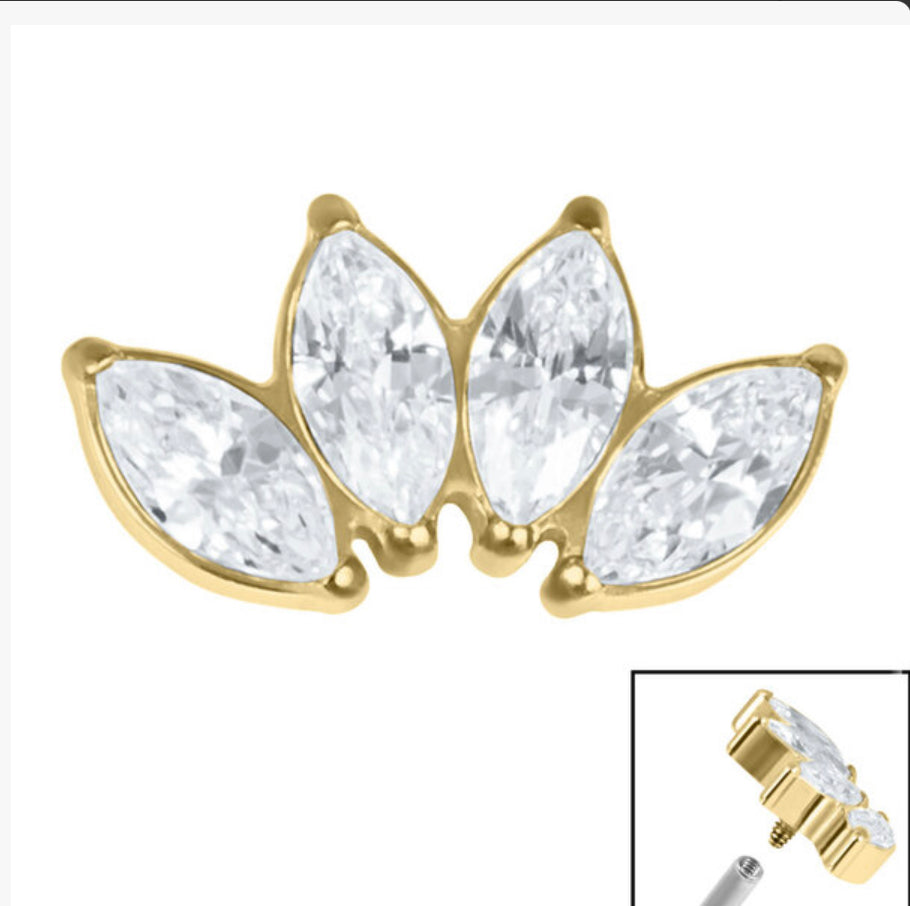Titanium Claw Set 4 CZ Jewel Marquise Fan (colour variants)
