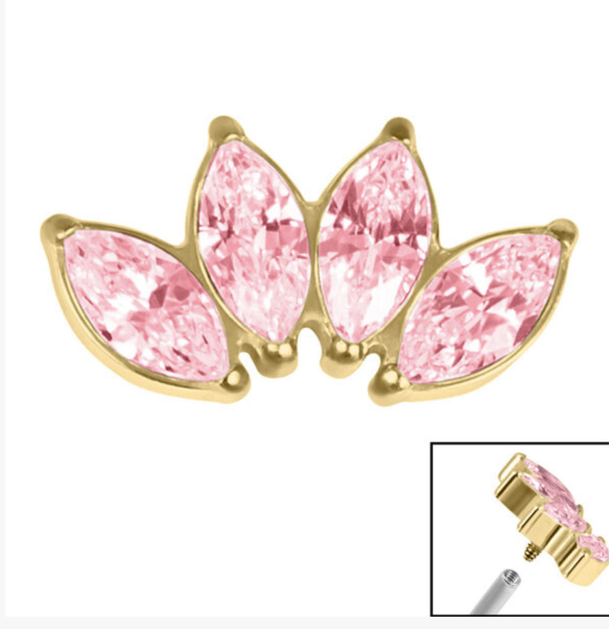 Titanium Claw Set 4 CZ Jewel Marquise Fan (colour variants)