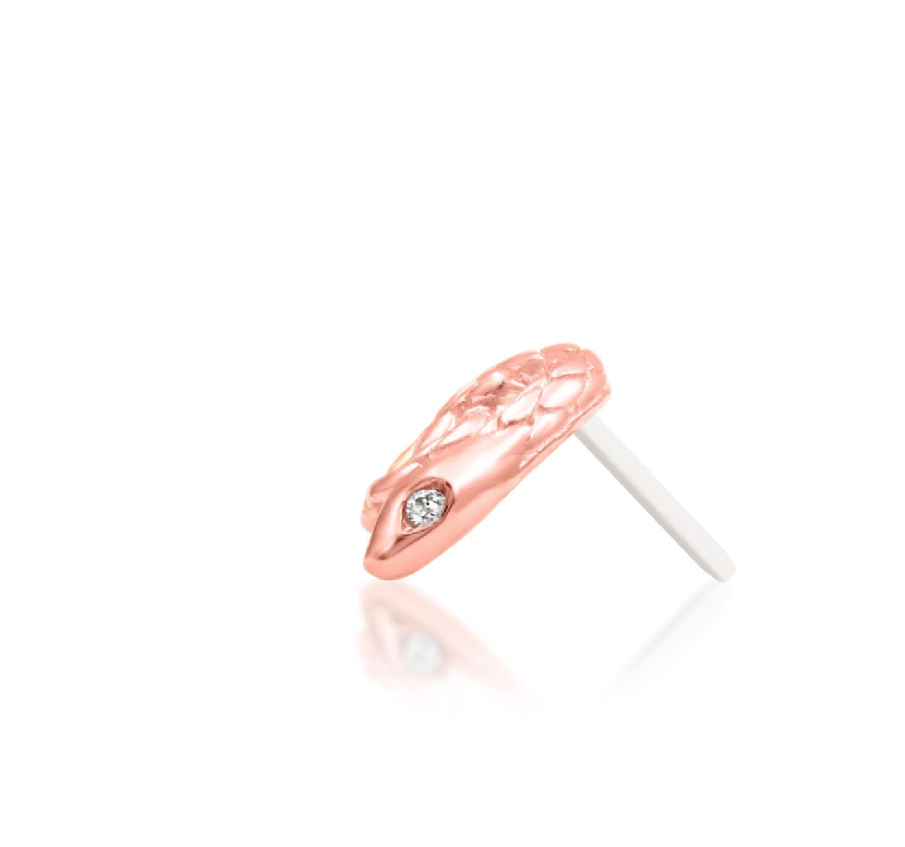 Round rose gold serpent conch earring with a sculptural coiled silhouette