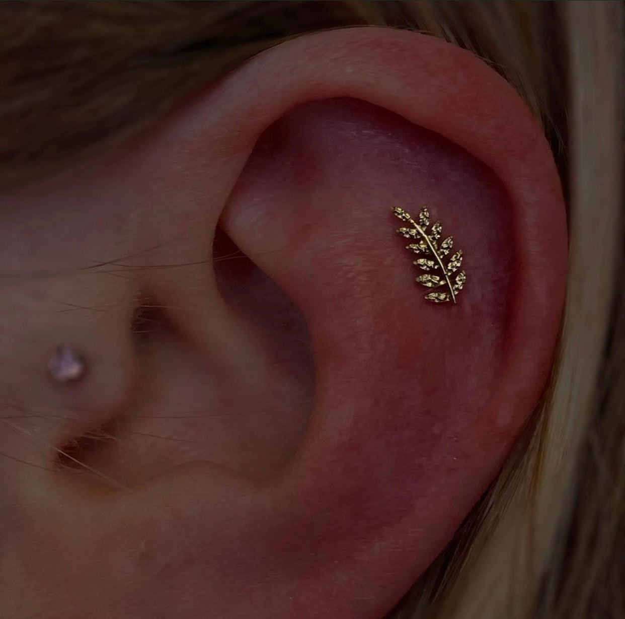 Junipurr – Willow Flat Helix Conch Threadless End | 14K Gold