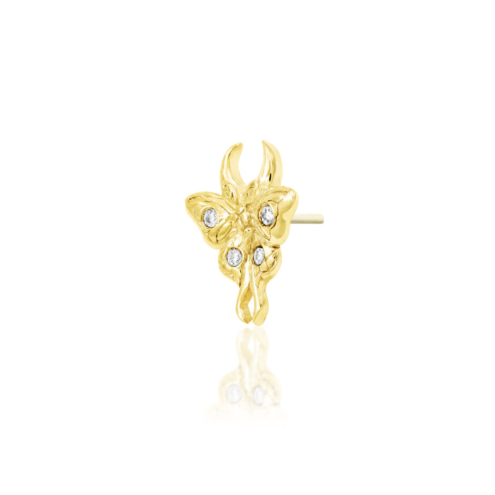 Solid gold moth cartilage earring with sparkling cubic zirconia for curated ears.
