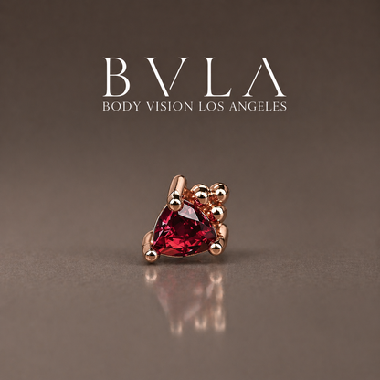 BVLA Timka