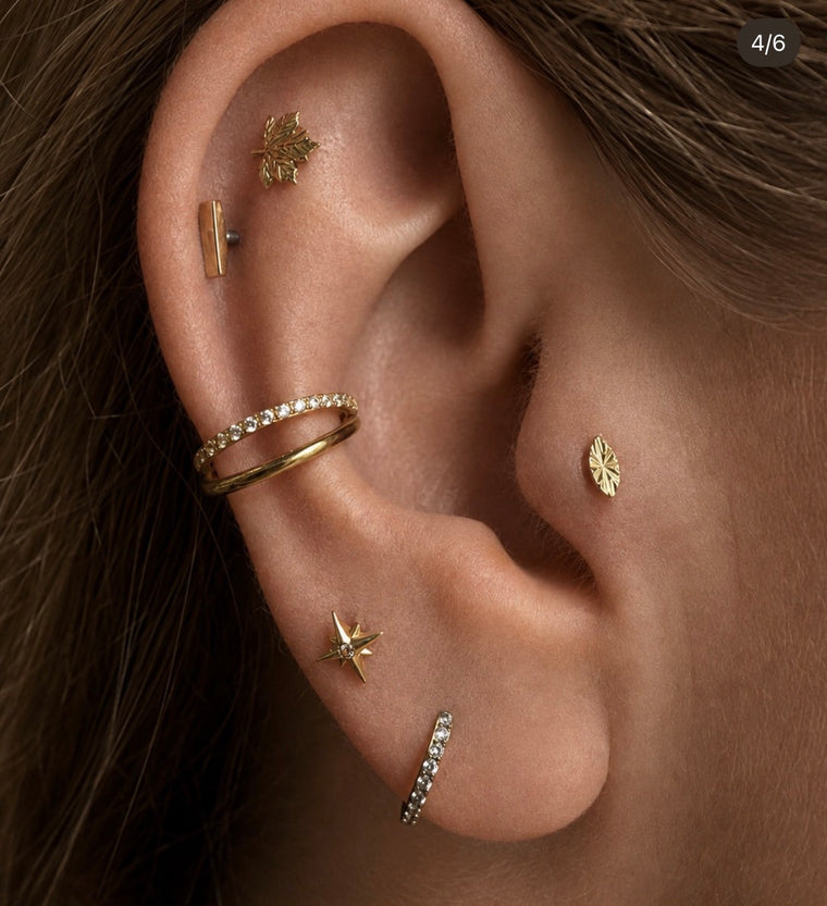Tragus