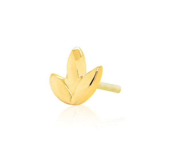 Close-up of the Junipurr Jewellery Dr Bloom Threadless End in 14k gold, featuring an elegant floral design perfect for helix, lobe, or conch piercings.