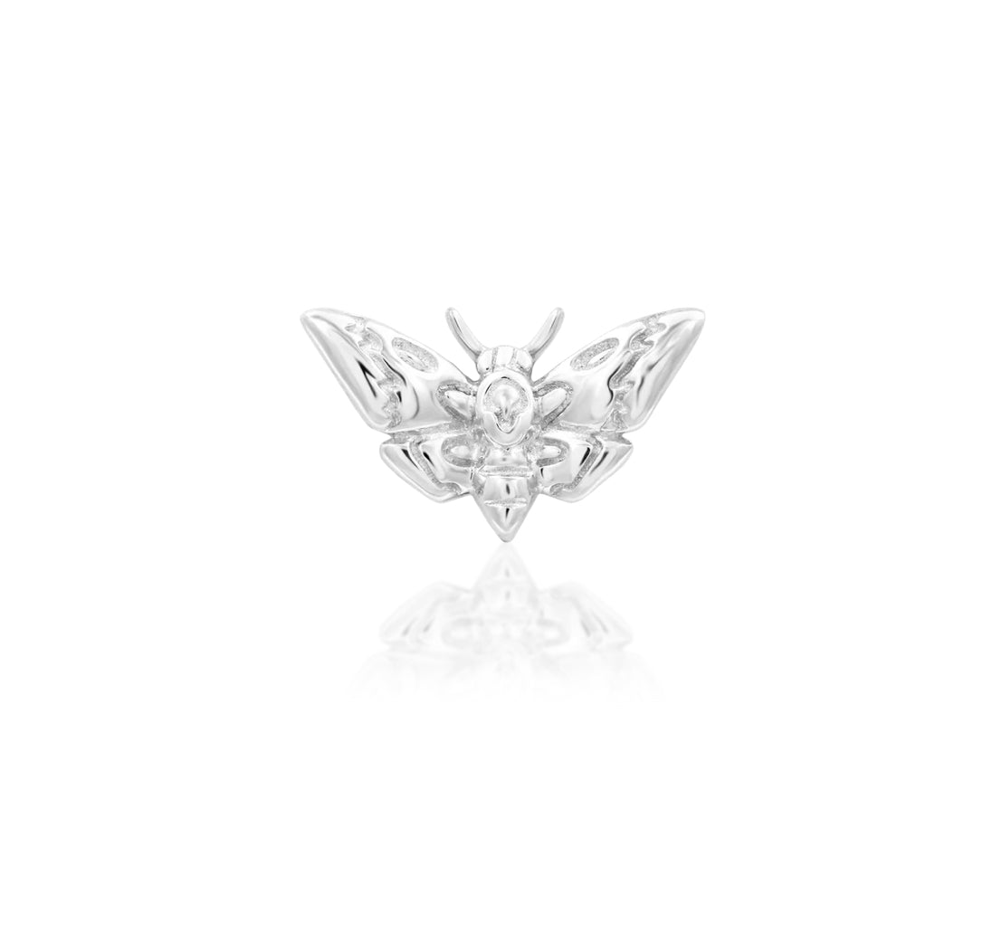 Front view of Junipurr Jewellery Death Head Moth threadless decorative end in 14k white gold measuring 7.2mm x 4.2mm