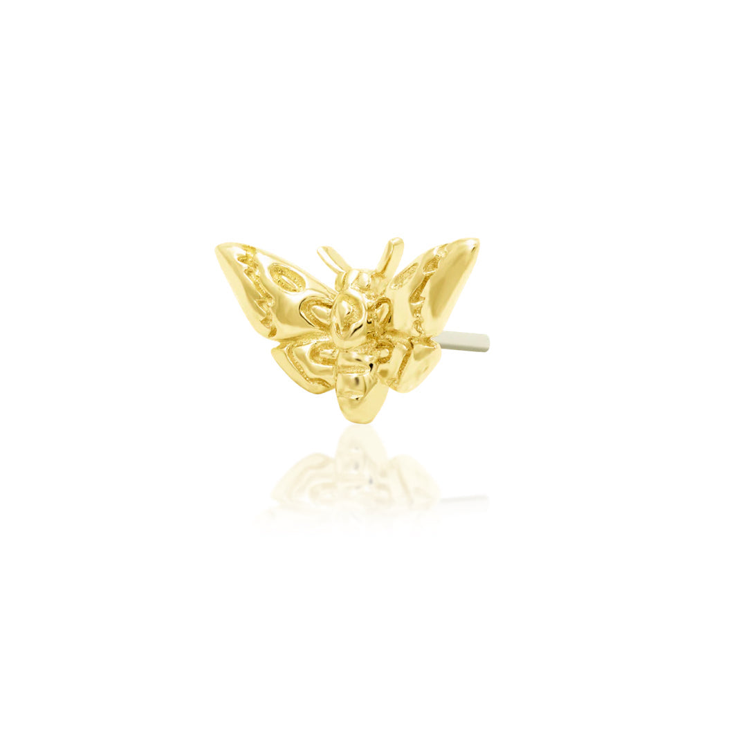 Angled view of Junipurr Jewellery Death Head Moth threadless decorative end for curated ear styling