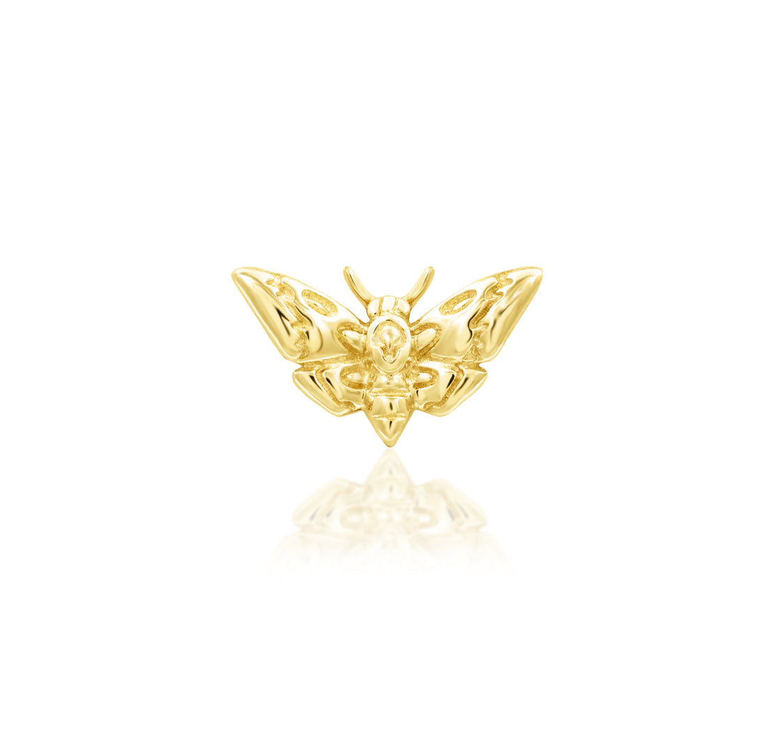 Front view of Junipurr Jewellery Death Head Moth threadless decorative end in 14k yellow gold measuring 7.2mm x 4.2mm