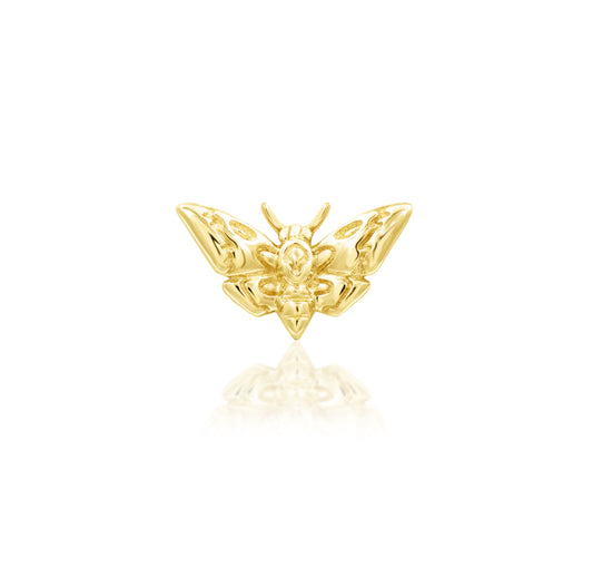 Front view of Junipurr Jewellery Death Head Moth threadless decorative end in 14k yellow gold measuring 7.2mm x 4.2mm