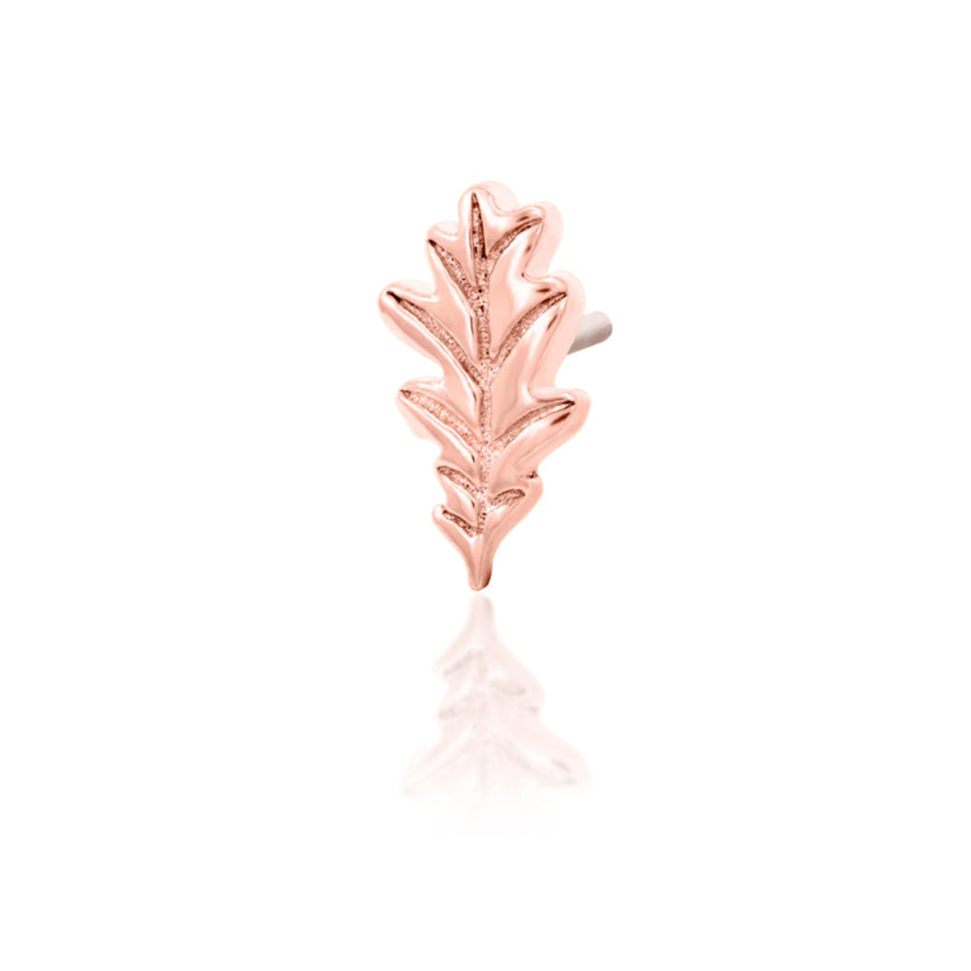 Angled view of Junipurr Jewellery Oak Leaf rose gold botanical threadless end for curated ear styling
