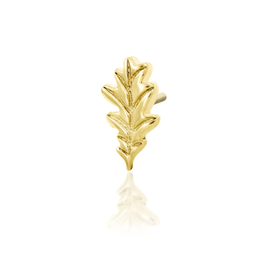 Angled view of Junipurr Jewellery Oak Leaf botanical threadless end designed for curated ear styling
