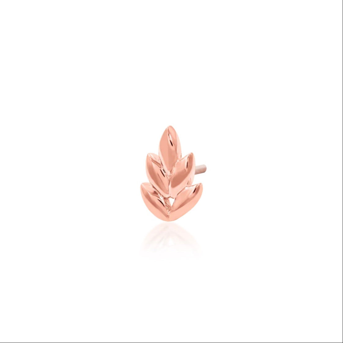 Low-profile rose gold fern-inspired earring suited to helix and upper-lobe styling.