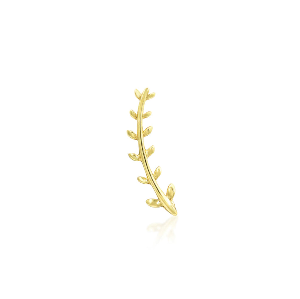Botanical helix earring in yellow gold with a slender fern frond creating natural direction along the ear.