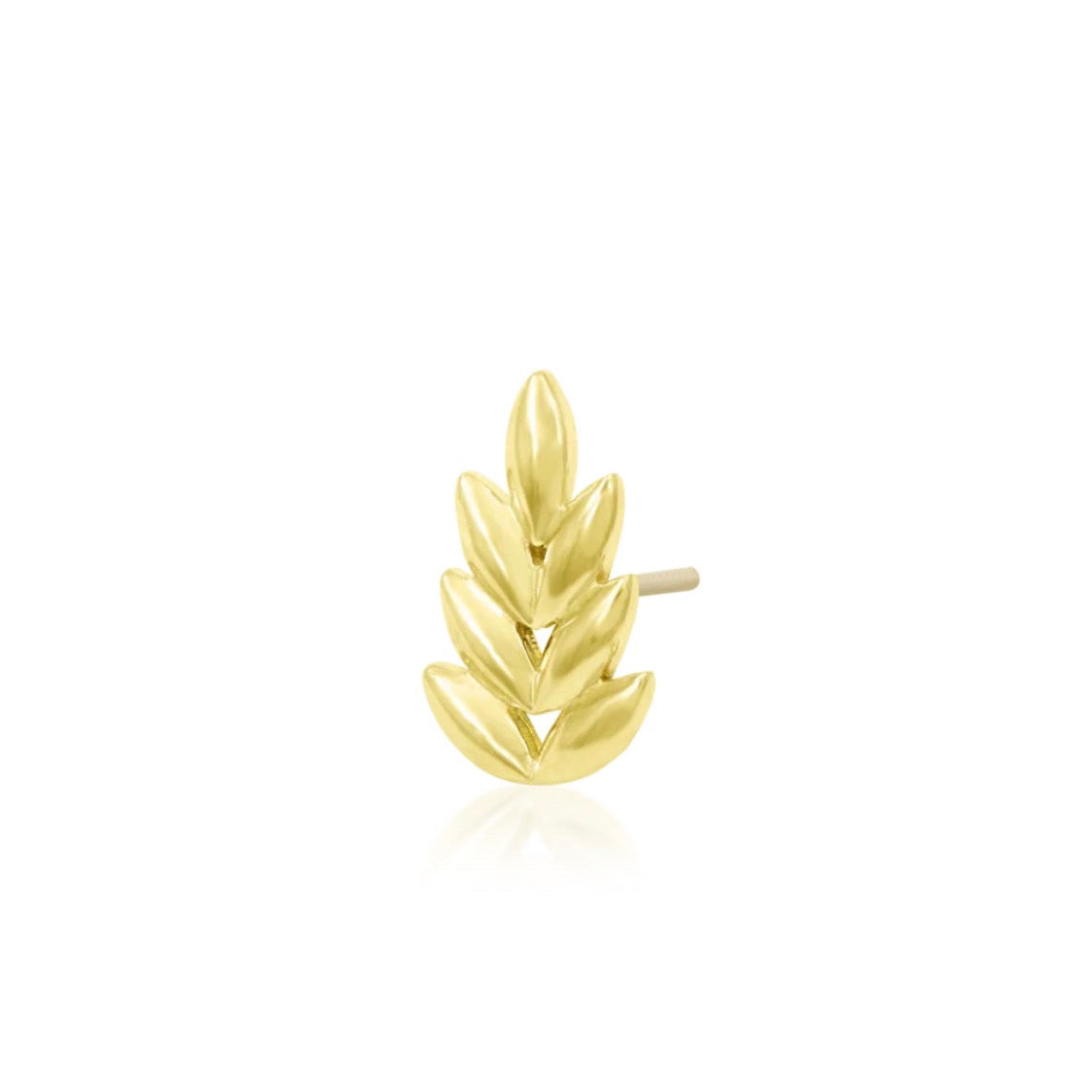 Botanical helix earring in solid yellow gold with a larger leafy silhouette designed to follow the ear.