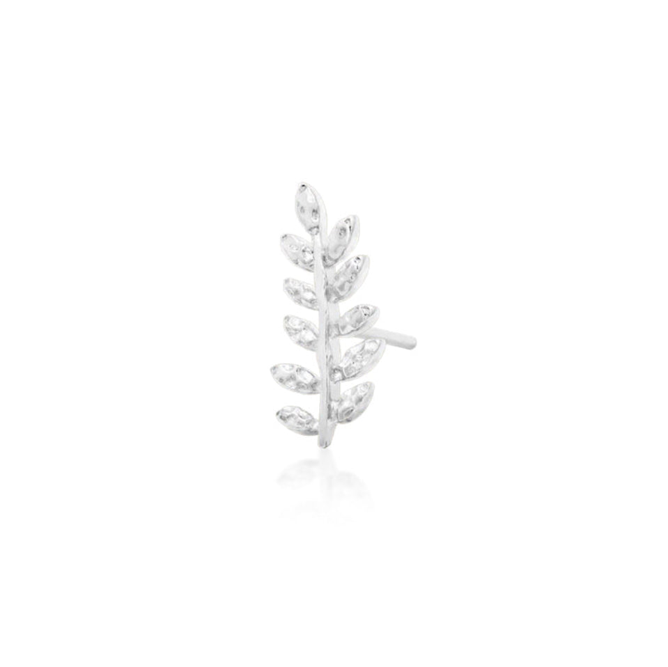 Conch piercing jewellery in 14k white gold, featuring the elongated curved profile of Junipurr Willow.
