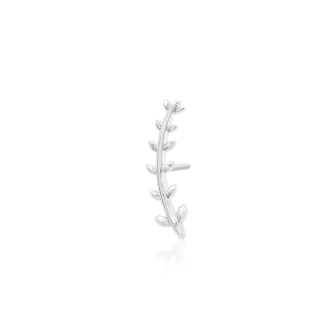 Curved leaf conch jewellery in solid 14k white gold with detailed fern fronds
