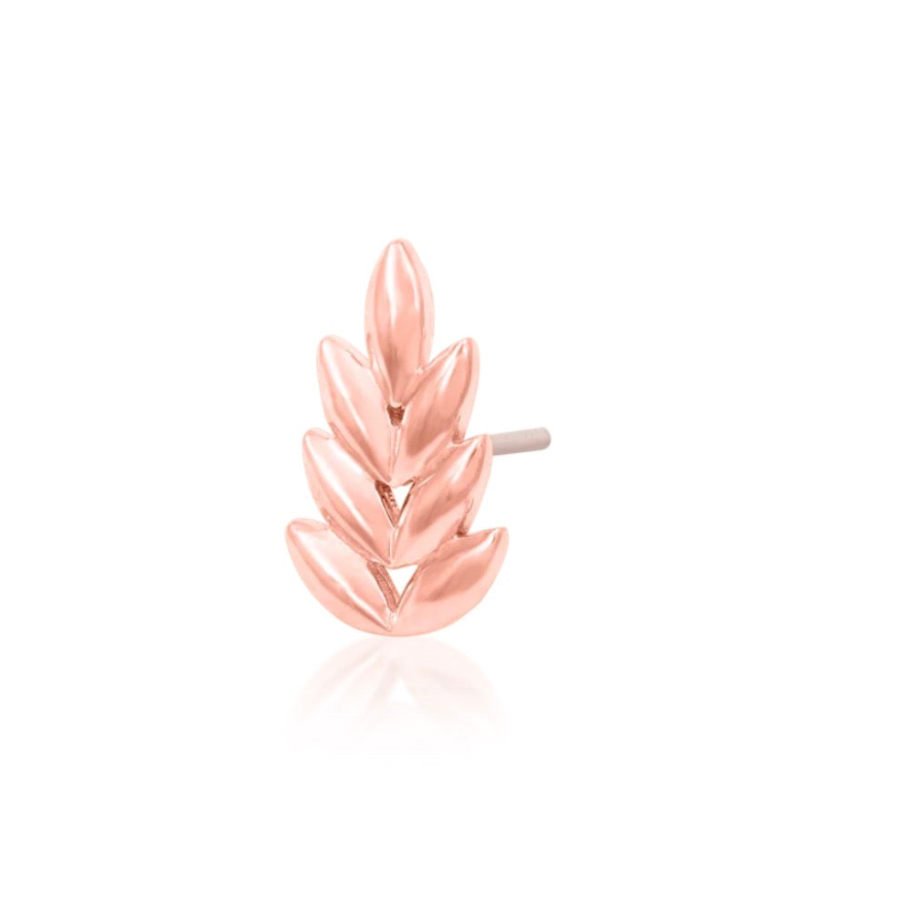 Gemstone-free ear jewellery in 14k rose gold with sculpted leaves providing texture and visual detail.