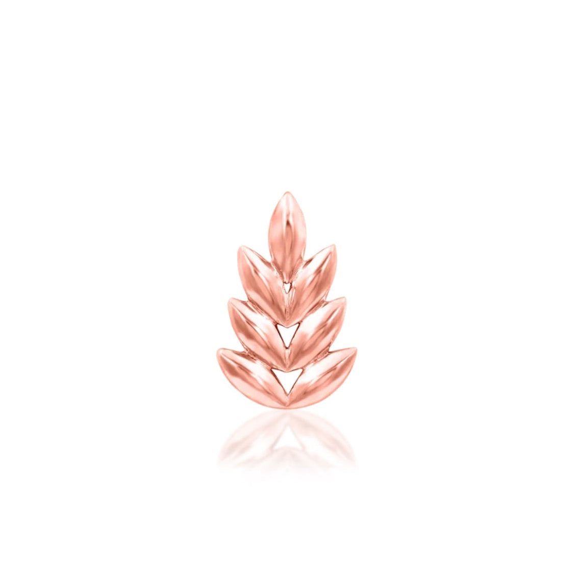 Gold leaf ear climber-style jewellery in solid rose gold with an elongated botanical silhouette.
