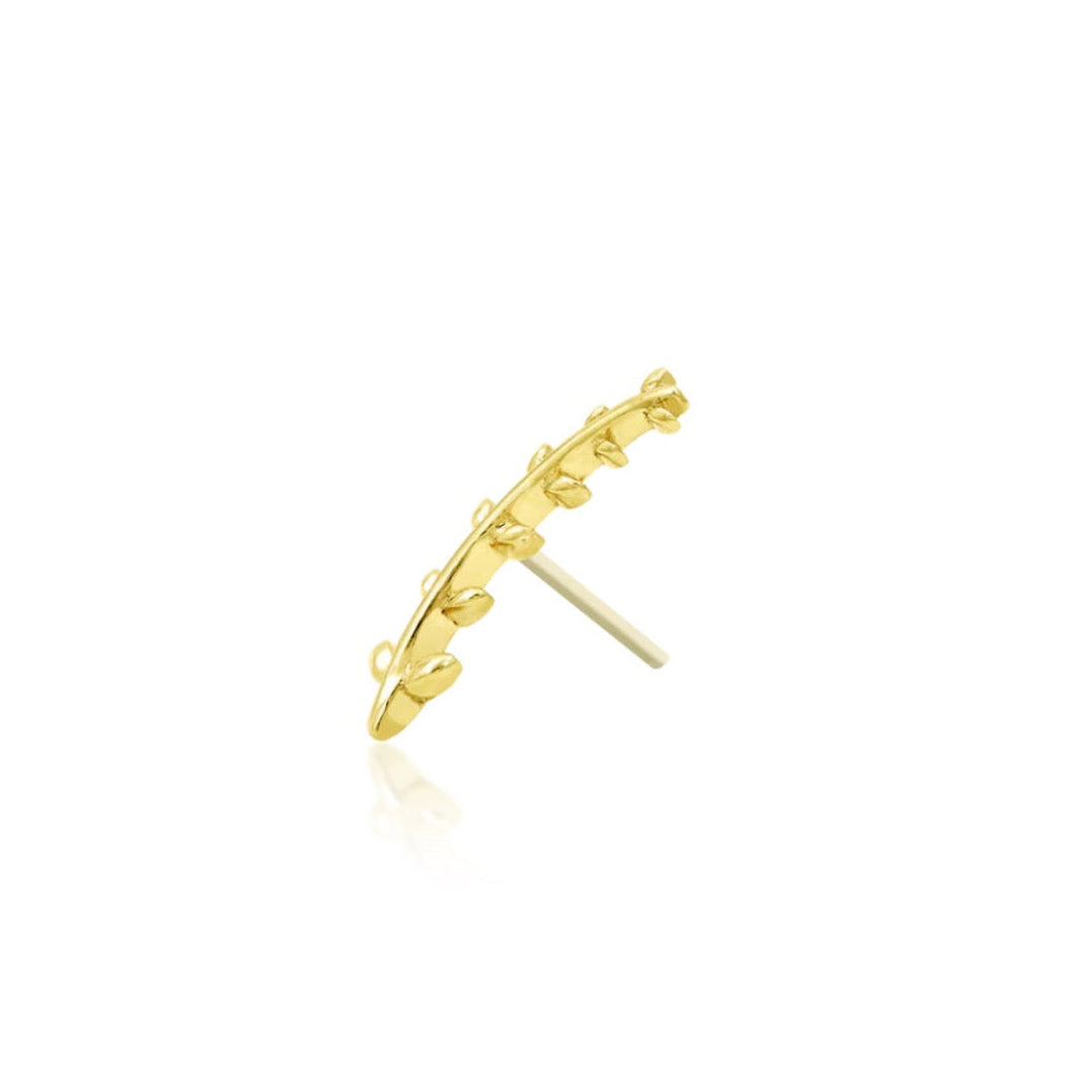 Gold leaf flat piercing jewellery featuring Junipurr Florence in polished yellow gold