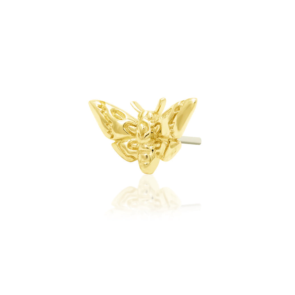     Gothic yellow gold conch earring featuring a sculpted death’s-head moth silhouette