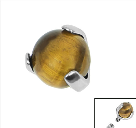 Titanium Claw Set Tigers Eye Ball for Internal Thread shafts in 1.6mm