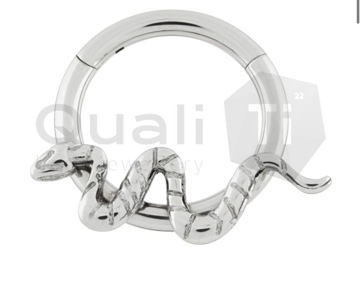 The 'Bitis' Hinged Titanium Ring