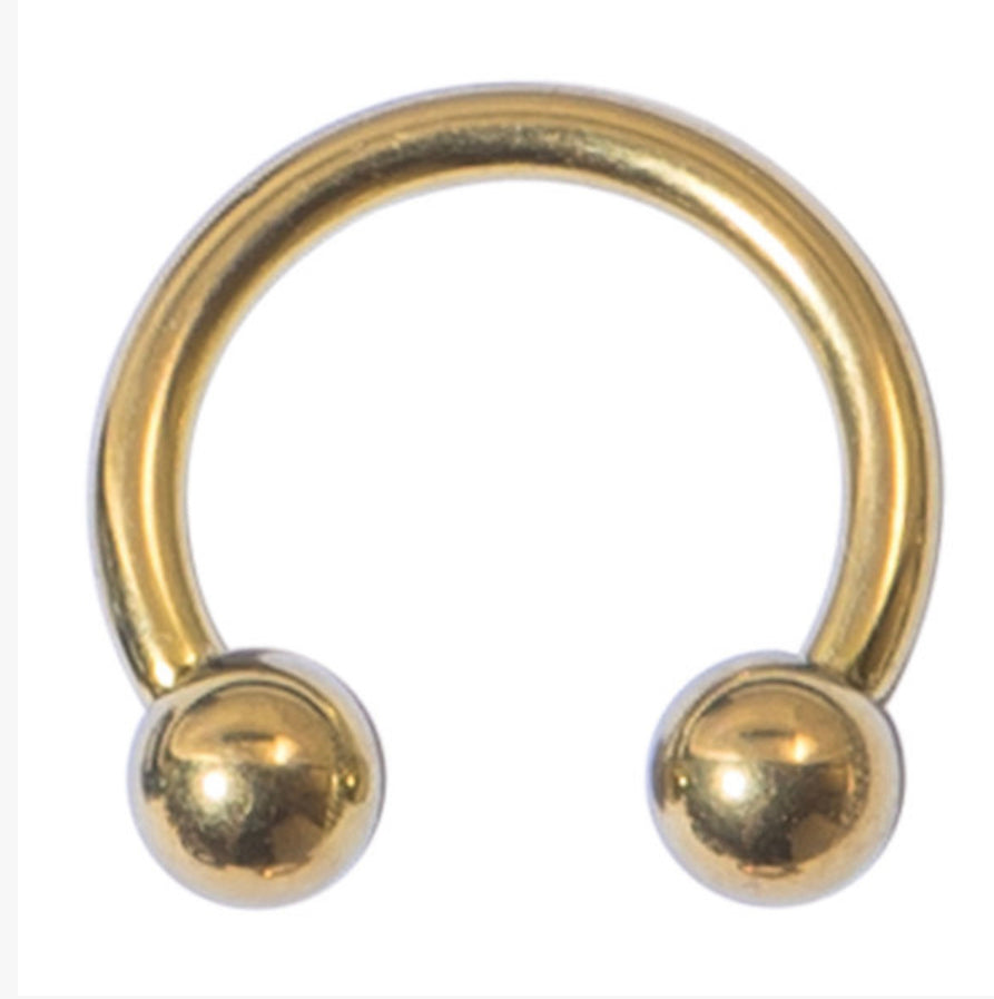 Titanium Circular Barbells Horseshoe