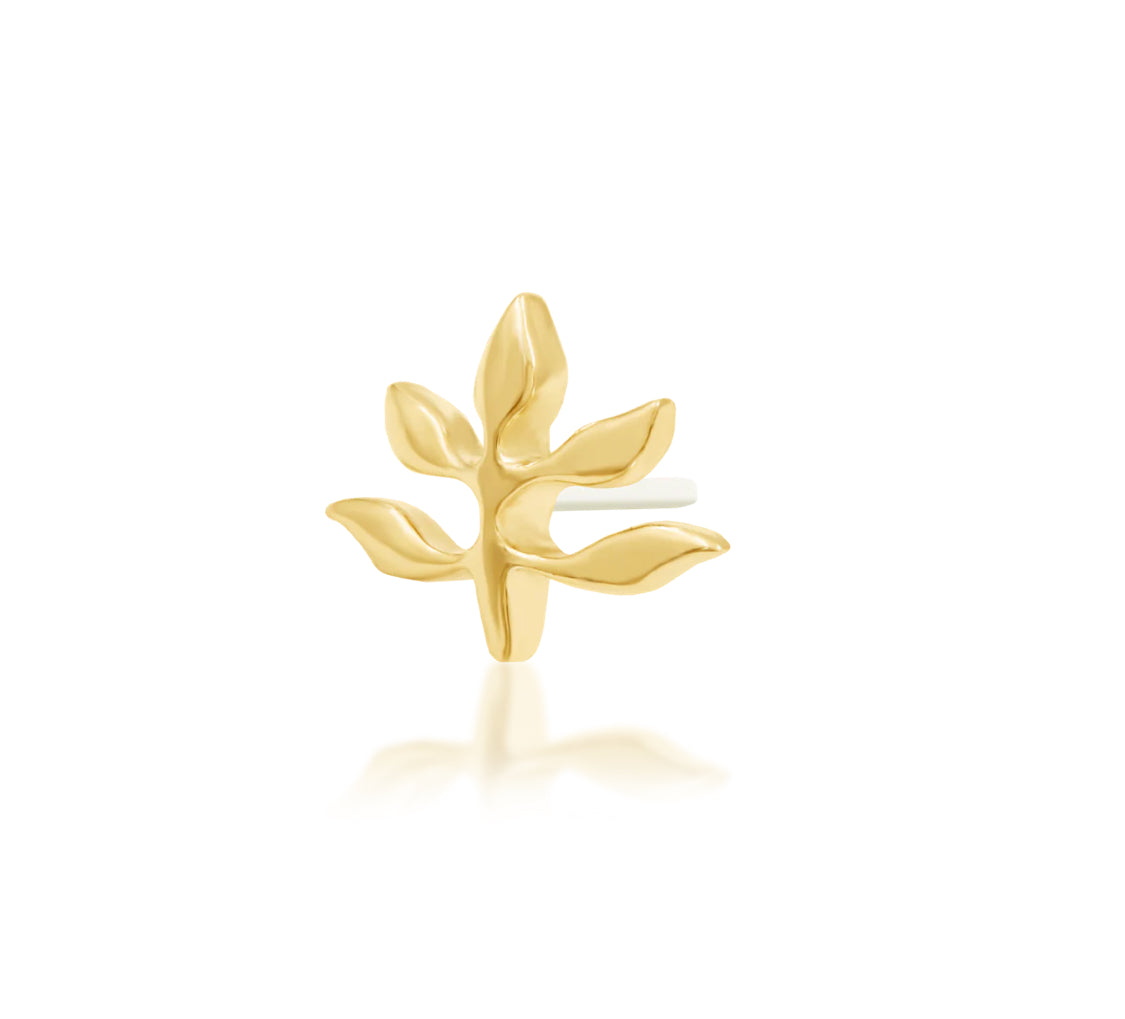 Junipurr Goddess solid 14k yellow gold threadless end, angled view.
