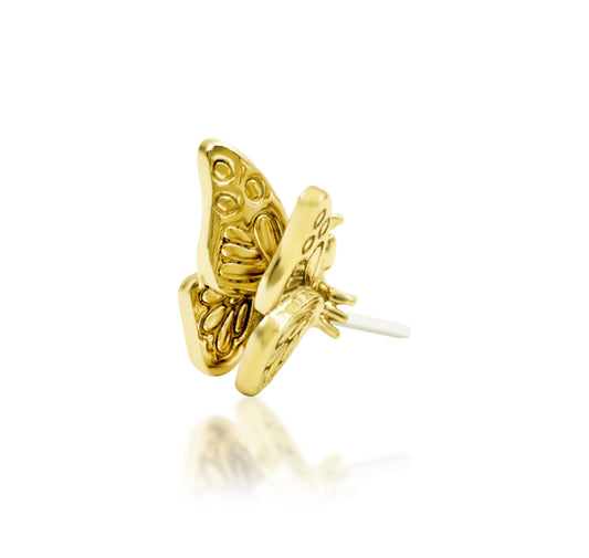 Junipurr Madam Butterfly solid 14k yellow gold threadless end, showing the raised engraved wings from the rear angle.
