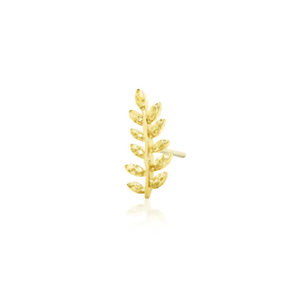 Junipurr Willow solid 14k yellow gold leaf ear climber, angled product view.