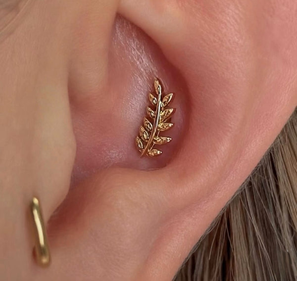 Luxury curated ear featuring the Junipurr Willow in yellow gold styled in the conch piercing with elegant 14k gold ear jewellery.