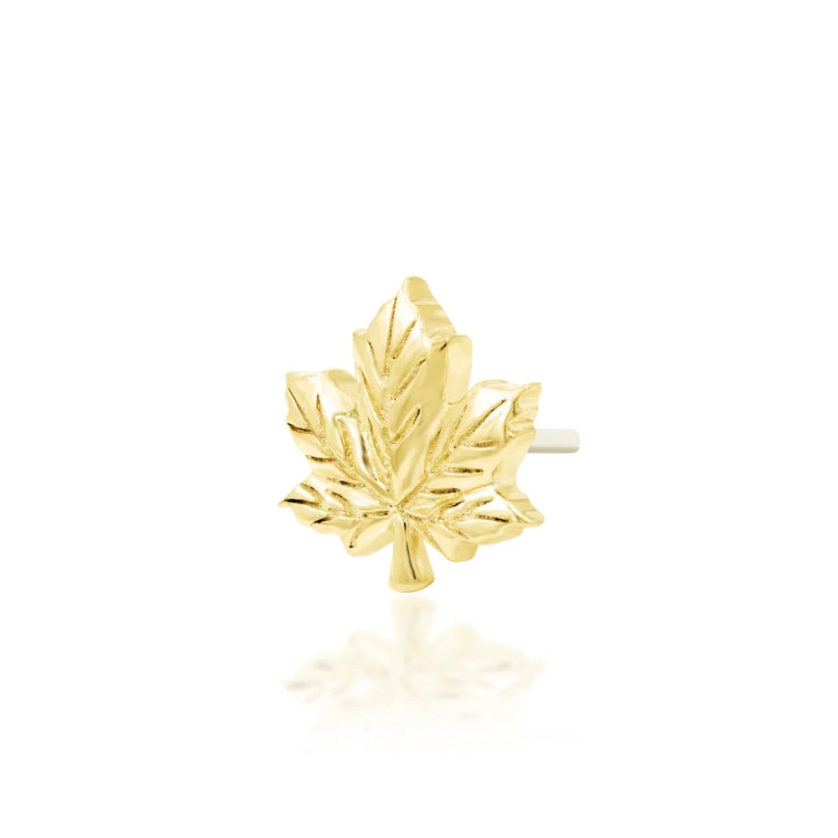 Maple leaf helix earring in solid yellow gold featuring a sculpted botanical design with polished detail.