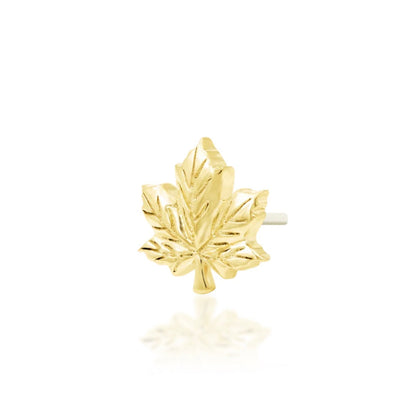 Maple leaf helix earring in solid yellow gold featuring a sculpted botanical design with polished detail.