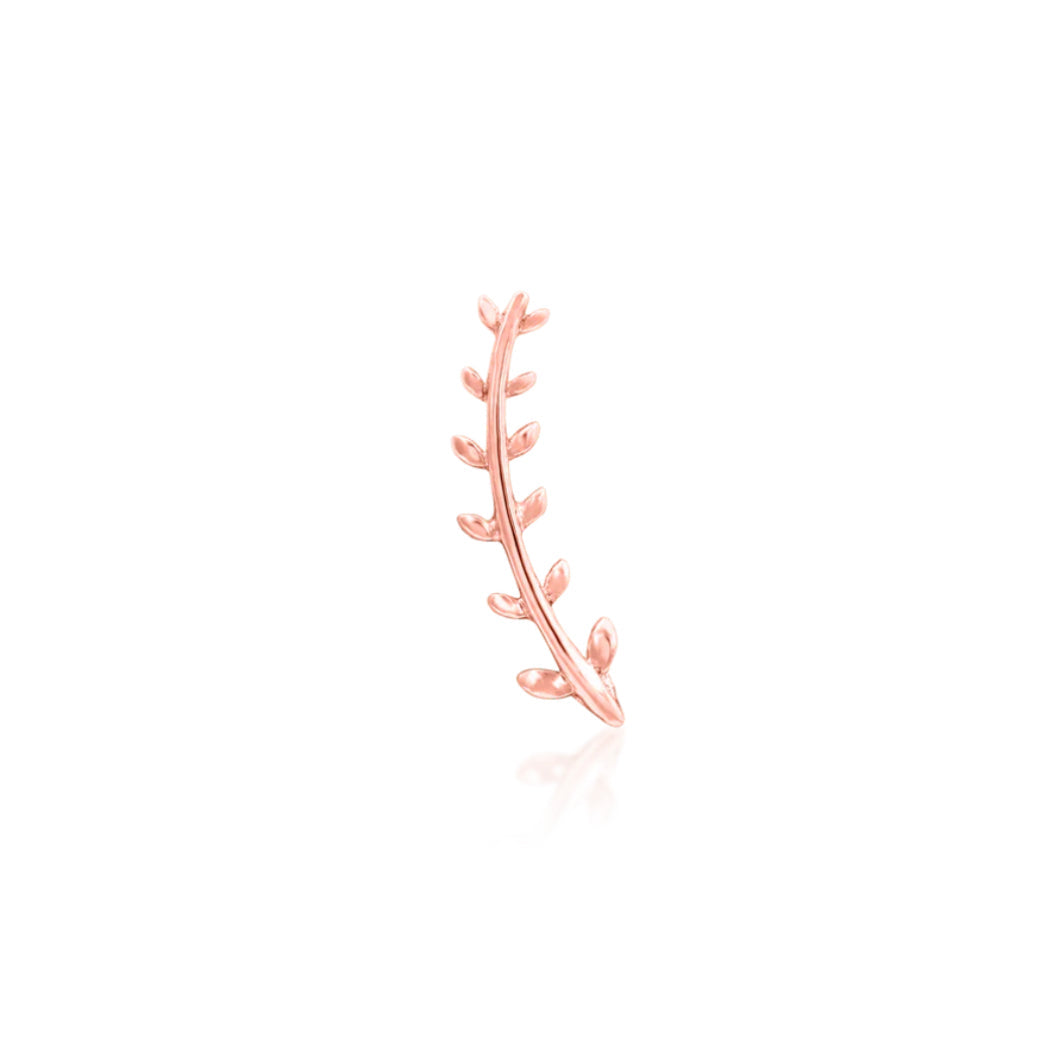 Minimalist botanical earring in solid rose gold with a delicate elongated fern silhouette.