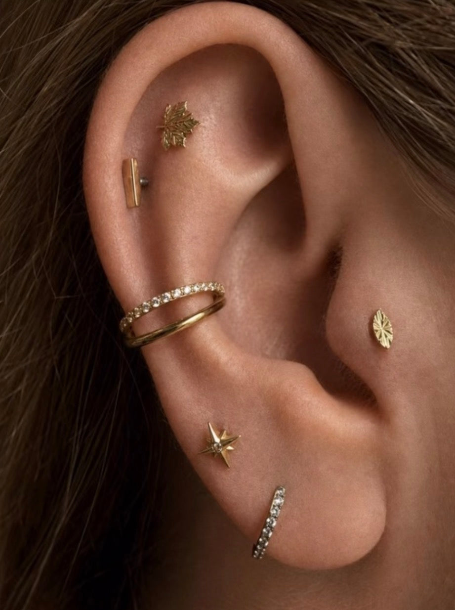 Original full ear photograph showing Maple Leaf and Stella with other pieces to verify