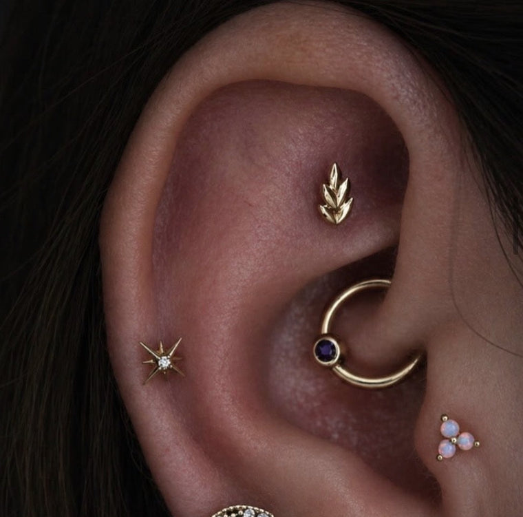 Rook