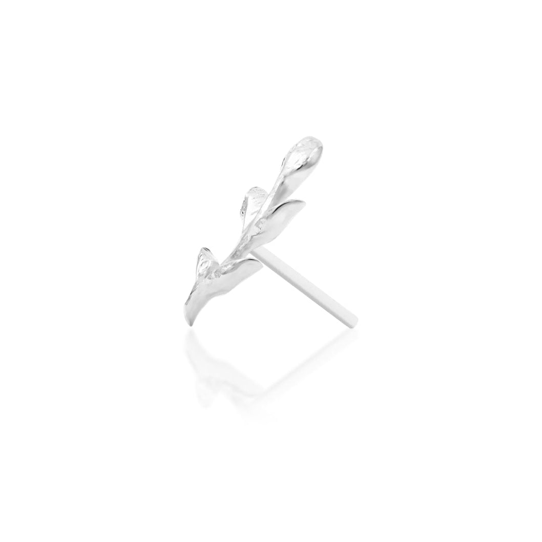 Small conch earring in solid white gold, featuring a compact botanical branch with five leaf details.