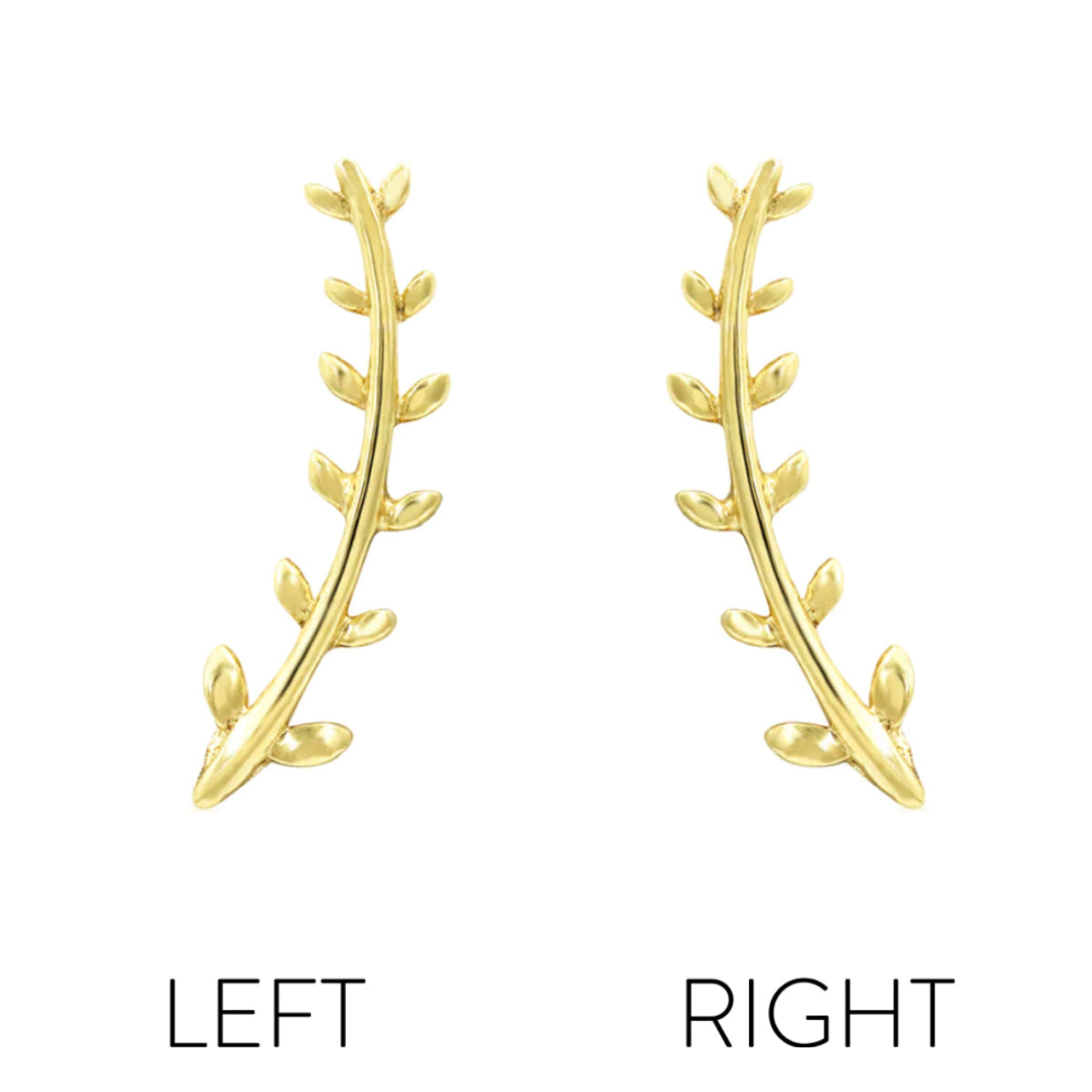 Solid gold fern leaf earring in 14k yellow gold, featuring the elongated Junipurr Florence botanical design.