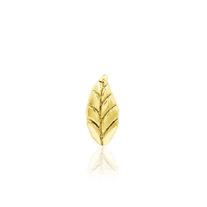 Solid gold leaf cartilage earring in 14k yellow gold featuring the petite Junipurr Bay Leaf design.