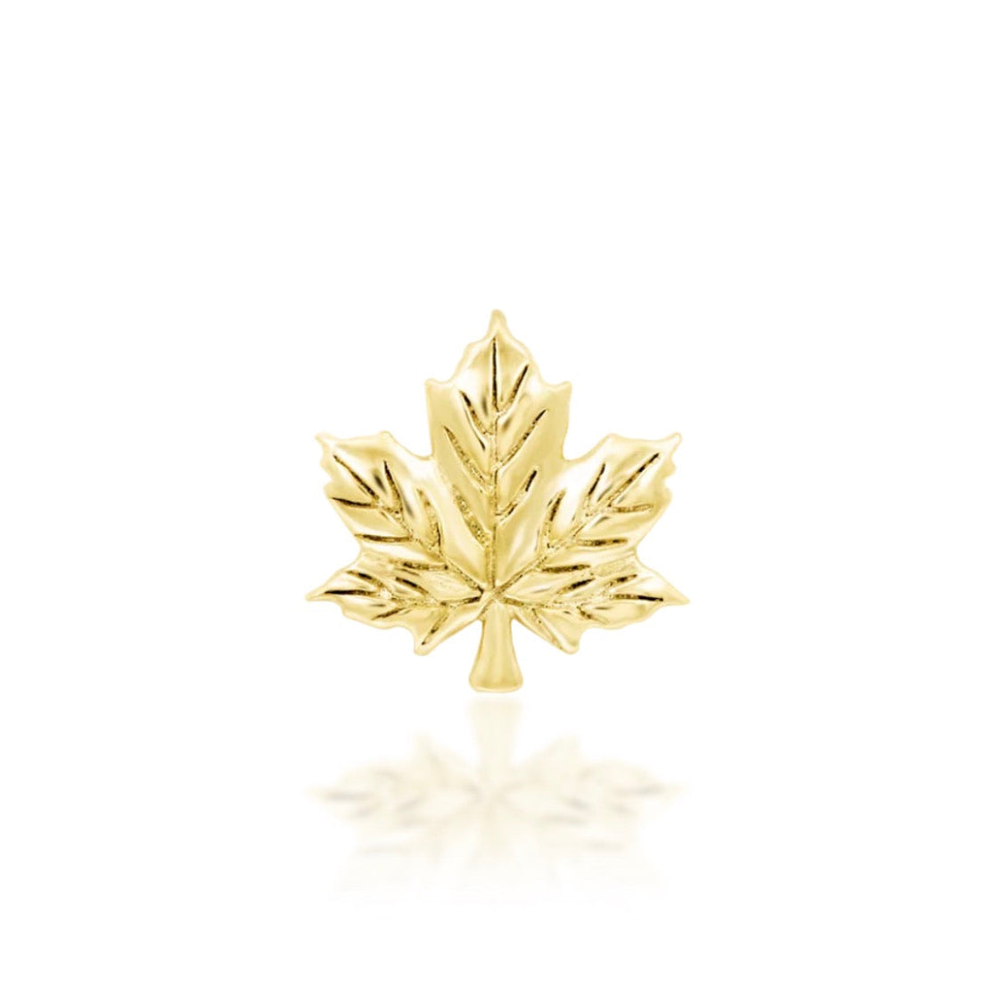 Solid gold maple leaf cartilage earring in 14k yellow gold with detailed three-dimensional texture.